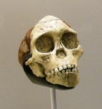 MAR Taung