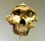 MAR OH5