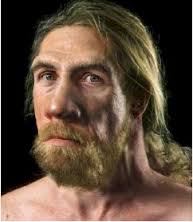 neandertal