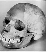 piltdown man