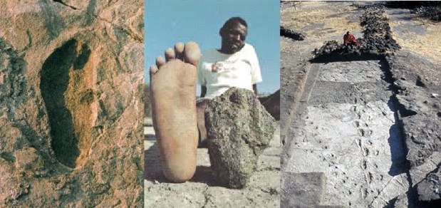 The oldest human footprints by&nbsp;continent