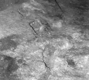 Theopetra footprints