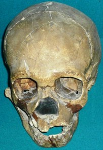 Skull_of_Teshik-Tash_Boy