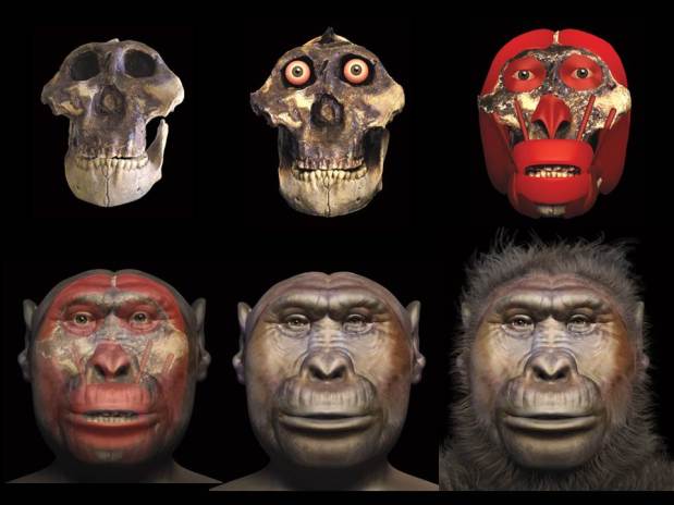 Dear Boy: todo sobre OH 5, Nutcracker&nbsp;Man