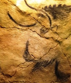 Contorno de bisonte de Altamira con carbón