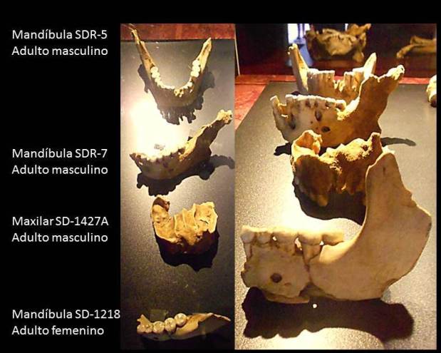Los 13 neandertales de la cueva El&nbsp;Sidrón