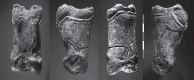 Falange La Garma UPV