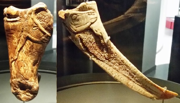 La Montaña del tiempo: el proyecto premiado de La&nbsp;Garma