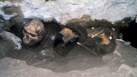 Dmanisi Skull 5