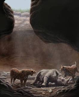 Batallones. Mauricio Antón