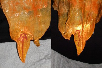 Antropomorfos Tito Bustillo