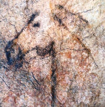 Cabeza de caballo Tito Bustillo