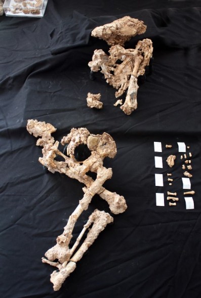 Sima de las Palomas SP96