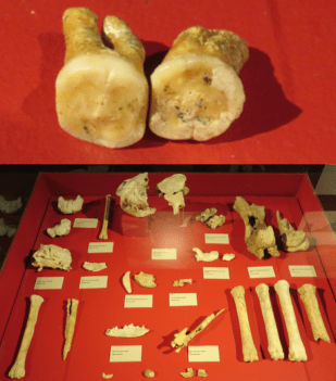 Neandertales Cueva del Camino, Pinilla del Valle