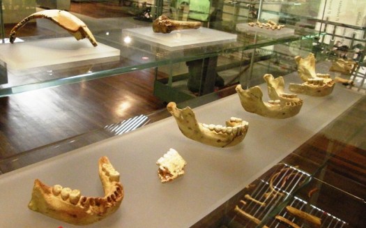 Mandibles Sima de los Huesos