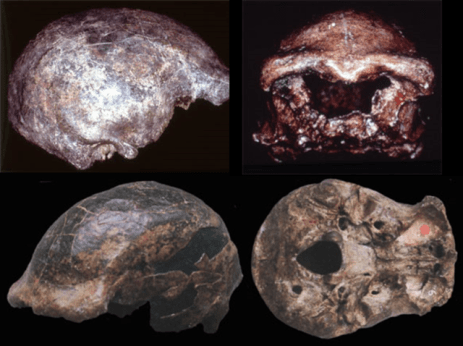 ngandong-sambungmacan