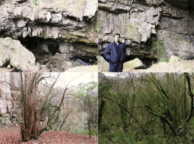 Cueva El Pendo entorno