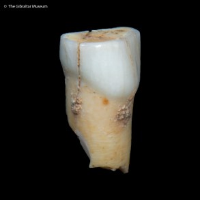 Neandertal Vanguard Cave