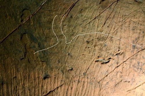 Bisonte Aitzbitarte IX