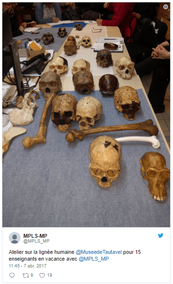 Hominin #FossilFriday