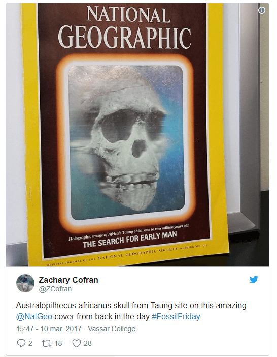 Hominin #FossilFriday