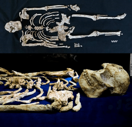 Skeleton Little Foot