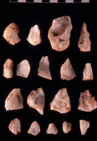 Oldowan tools from Sterkfontein