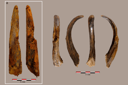 Aranbaltza III wooden digging stick