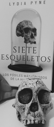 Siete Esquletos y Taung