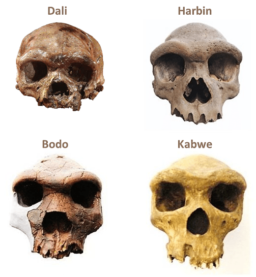 Dali, Harbin, Bodo, Kabwe