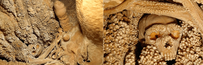 Neandertal de Altamura in situ