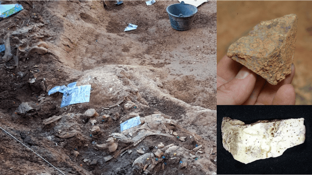 Atapuerca 2020, una campaña&nbsp;especial