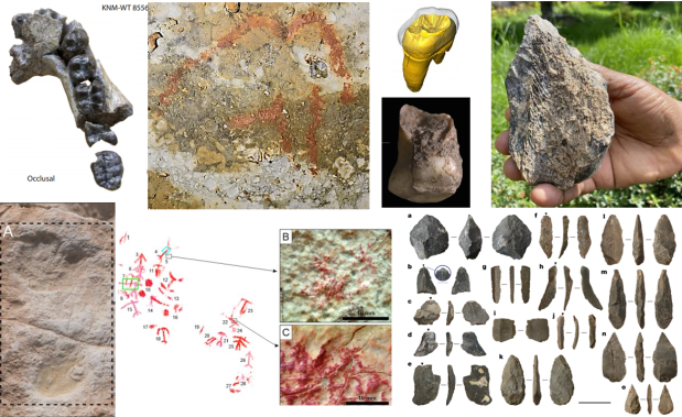 Paleoantropología: novedades 3er trimestre&nbsp;2020