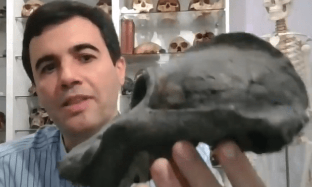 Parántropos: nuestros parientes más&nbsp;asombrosos