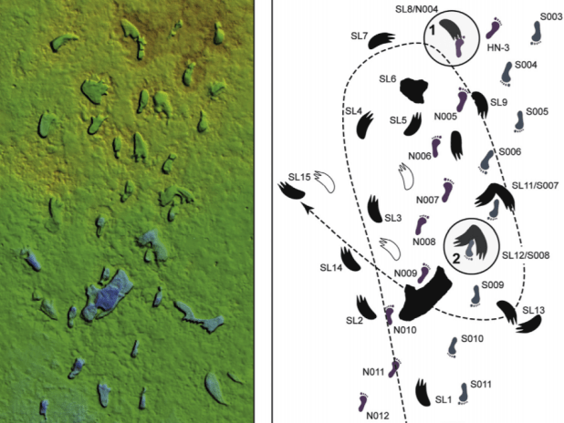 Las huellas de White Sands: el viaje de dos humanos hace 22.000&nbsp;años