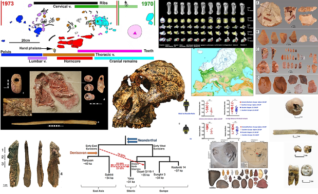 Paleoantropología: novedades 4º trimestre&nbsp;2020