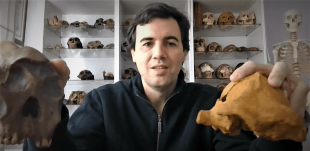 Variabilidad en Paranthropus&nbsp;boisei