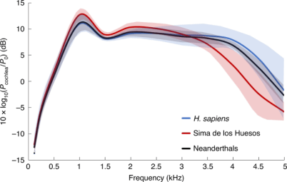 Audición de Homo sapiens, homininos de la Sima de los Huesos y neandertales