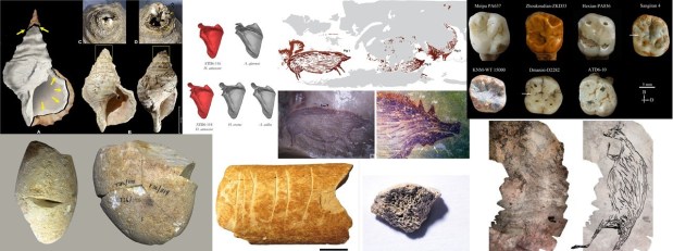 Paleoantropología: novedades 1er trimestre&nbsp;2021