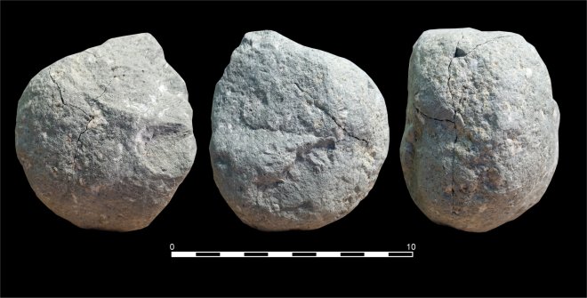 Percutor de David's Site