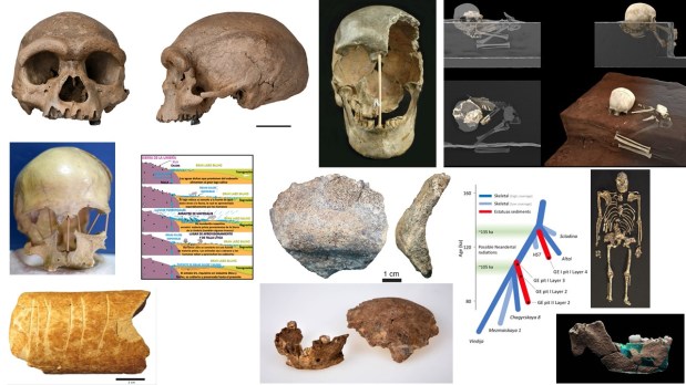 Paleoantropología: novedades 2º trimestre&nbsp;2021