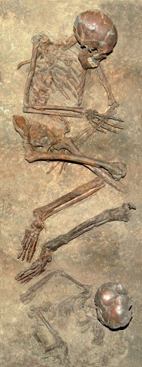Esqueletos de Qafzeh 9 y 11