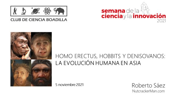Homo erectus, hobbits y denisovanos: la evolución humana en&nbsp;Asia