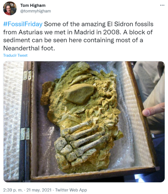El Sidrón Neandertal foot