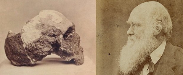 Cuando Darwin conoció al&nbsp;Neanderthal