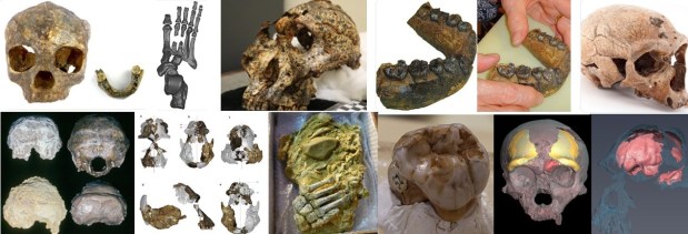 The Top 10 hominin #FossilFriday tweets of&nbsp;2021