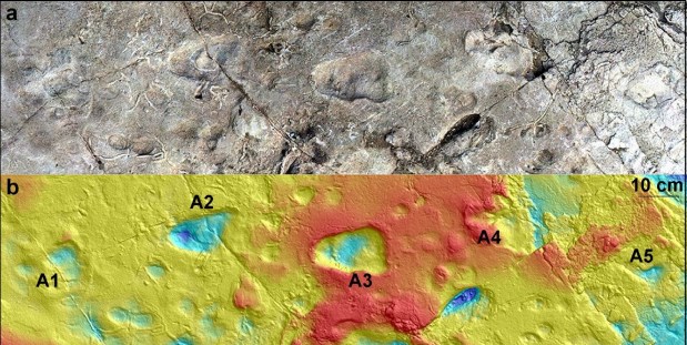 Nuevas huellas en Laetoli, pero de otro hominino&nbsp;diferente