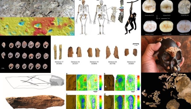 Paleoantropología: novedades 4º trimestre&nbsp;2021