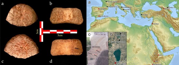 Homininos corpulentos en el Corredor Levantino hace 1,5 millones de&nbsp;años