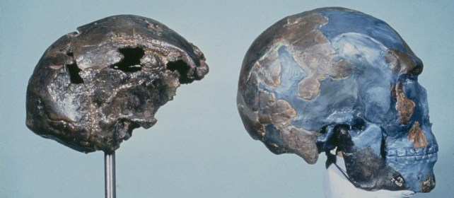 Cráneos de Omo Kibish 1 y 2